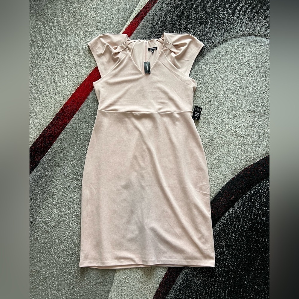 Express Soft Pink V Neck Formal Sheath Dress